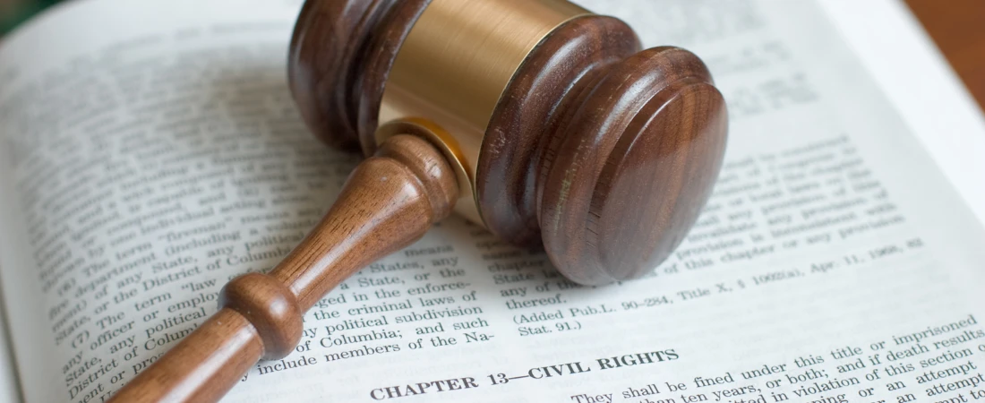 Sentient Code: When Software Wants Rights