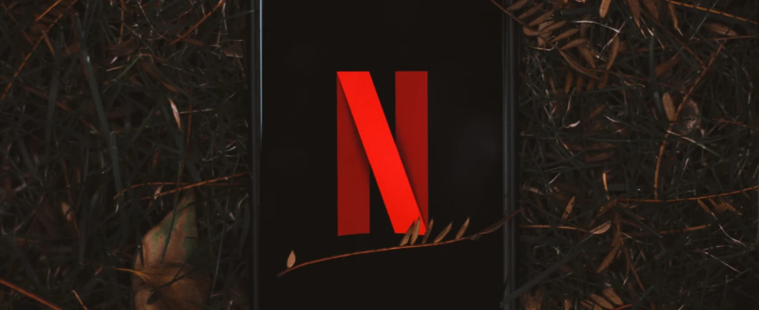 Hidden Gems: Brilliant Shows You Probably Missed on Prime, Max, and Netflix