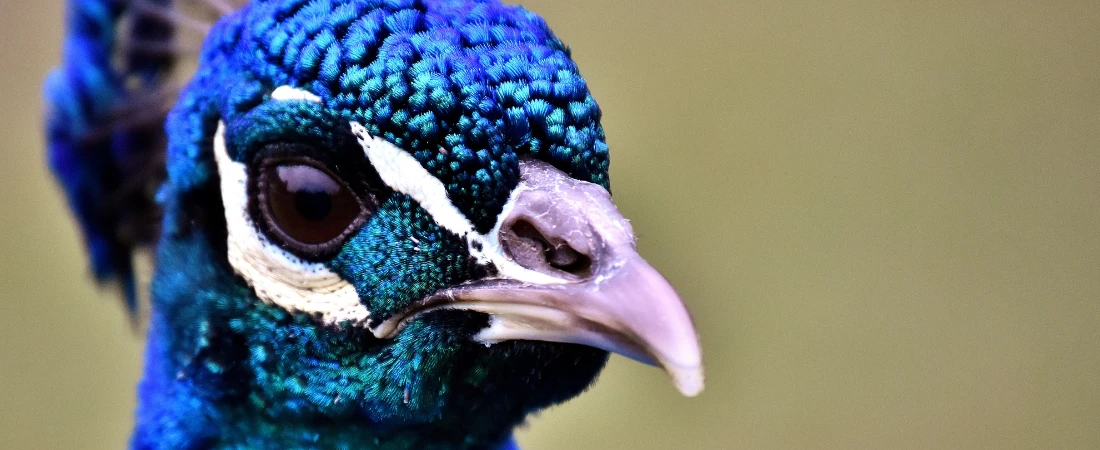 The Most Addictive Mystery Shows on Max, Netflix, and Peacock