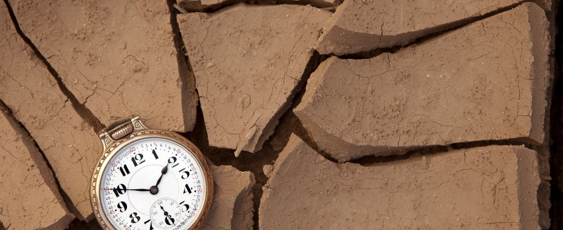 Top Underrated Shows from 2024 You Should Catch Up On in 2025