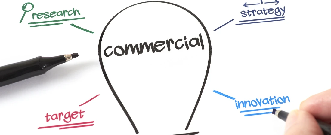 Ghostwriters in Pop Music: Creativity or Commercial Strategy?