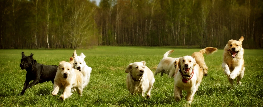 Speedrunning Culture: The Art and Obsession of Beating Games Fast