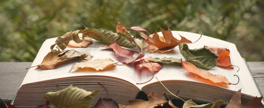 Fan Edits & Alt-Endings: The Rise of DIY Storytelling