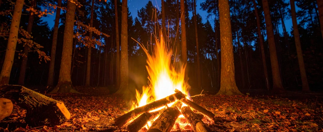 Digital Campfires: The Rise of Cozy Internet Communities