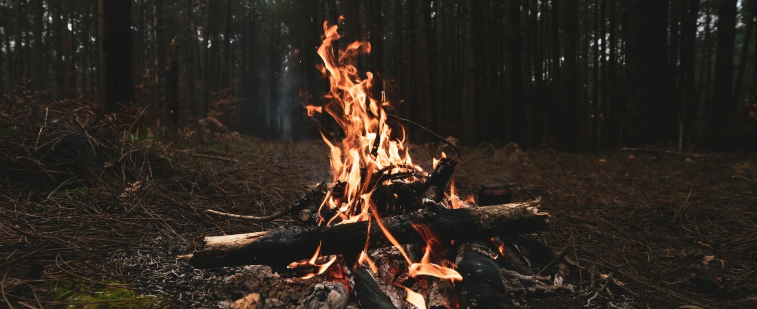 Digital Campfires: The Rise of Cozy Internet Communities