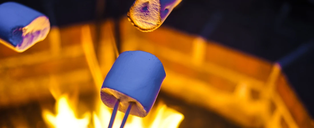 Digital Campfires: The Rise of Cozy Internet Communities