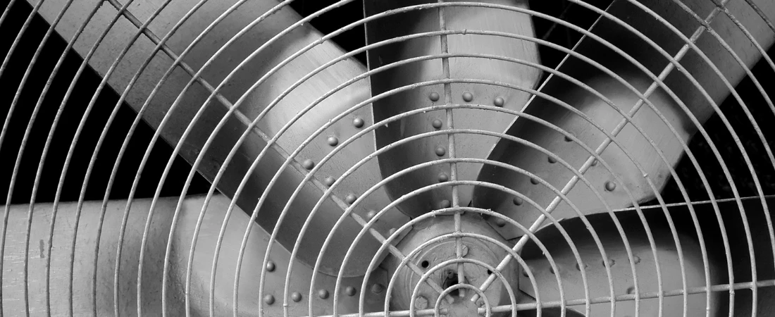 Fan-Made Content to Full-Fledged Production Deals: How Studios Are Tapping Into TikTok & YouTube Stars