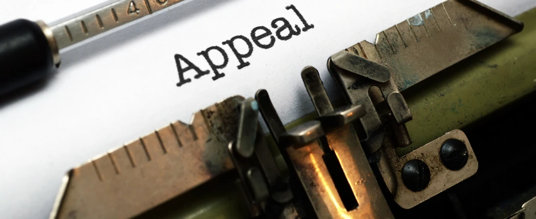 Fan-Made Content to Full-Fledged Production Deals: How Studios Are Tapping Into TikTok & YouTube Stars