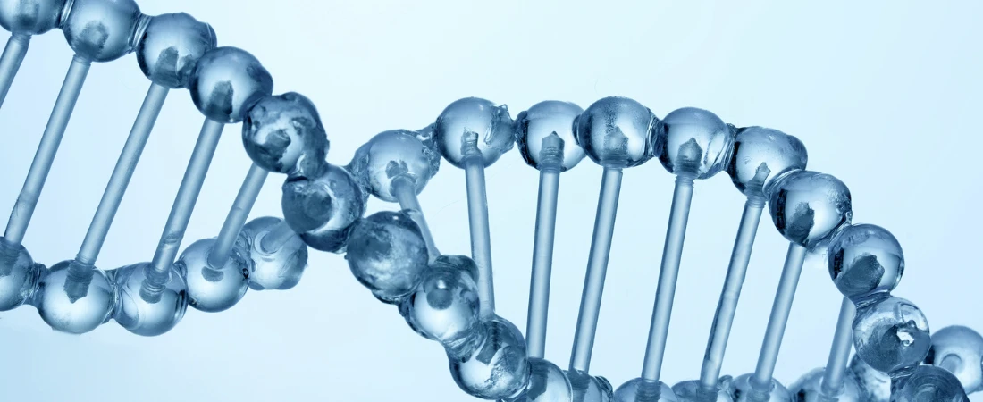 Biopunk Folklore: Genetic Futures Told Through Ancestral Forms