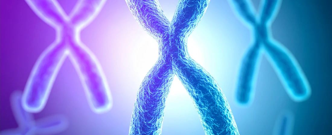 Biopunk Folklore: Genetic Futures Told Through Ancestral Forms