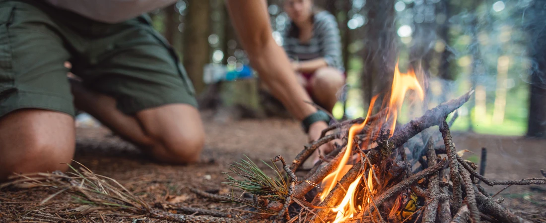 The New Music Economy: Can Indie Artists Survive Without Record Labels in 2025?