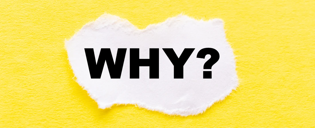 From Stardom to Startup: How South Asian Celebrities Are Becoming Tech Entrepreneurs