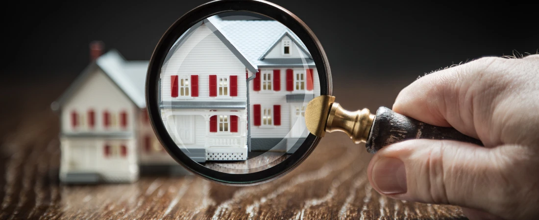 From Stardom to Startup: How South Asian Celebrities Are Becoming Tech Entrepreneurs