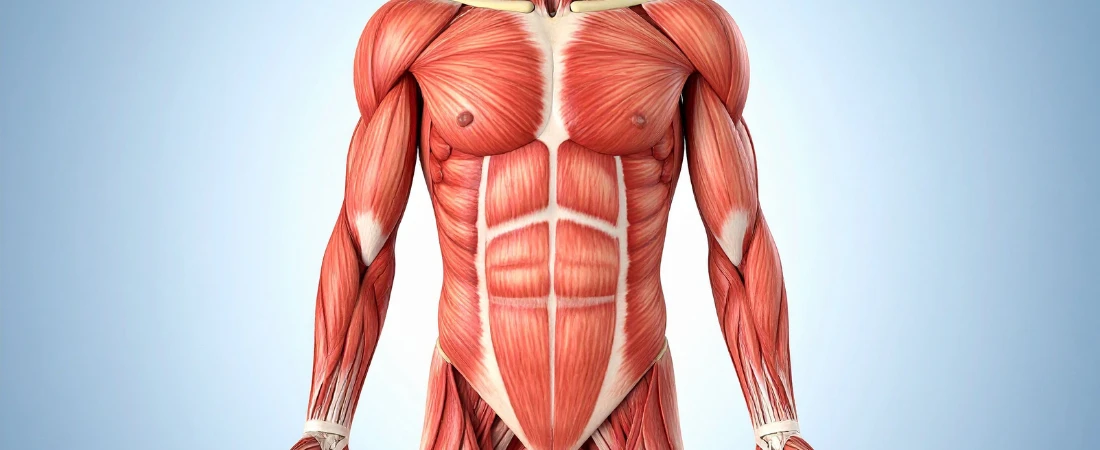 The Post-Cancellation Era: How Stars Are Making Comebacks After Public Backlash