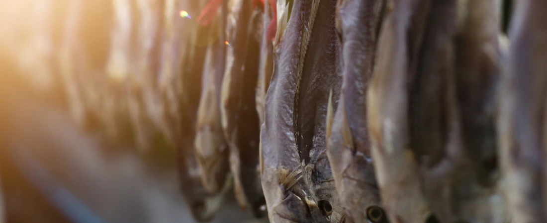 Are Reboots Killing Creativity or Preserving Culture?