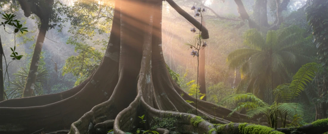 Virtual Pilgrimages: How People Are Traveling Through Screens and Simulations