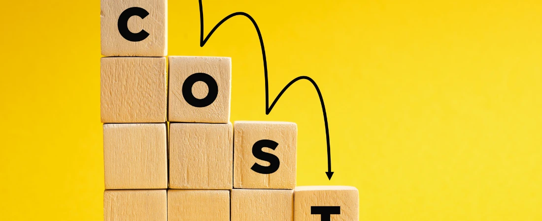 The Performance of Privacy: Hiding in Plain Sight Online