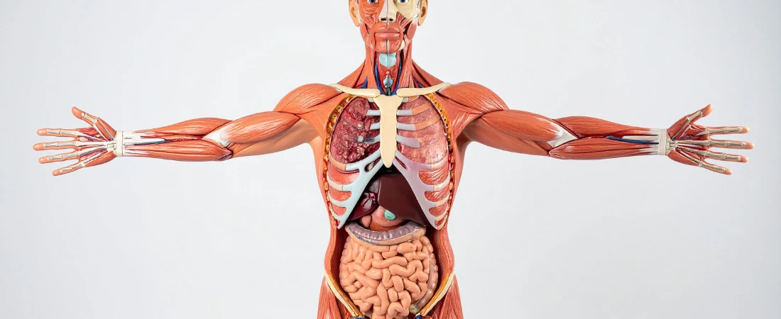 Parasocial Parasites: The Dark Side of Intimacy with Influencers