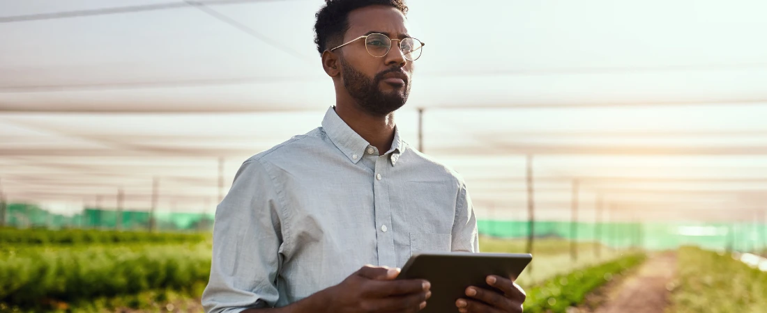 Autoplay Apocalypse: Passive Consumption and the Death of Digital Intentionality