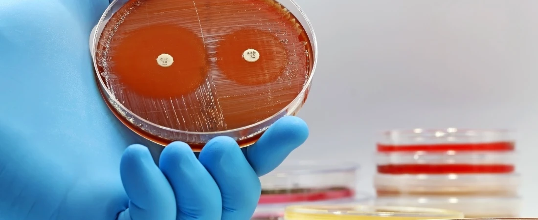 Ghost Follows and Lurker Culture: The Quiet Power of the Unseen Audience