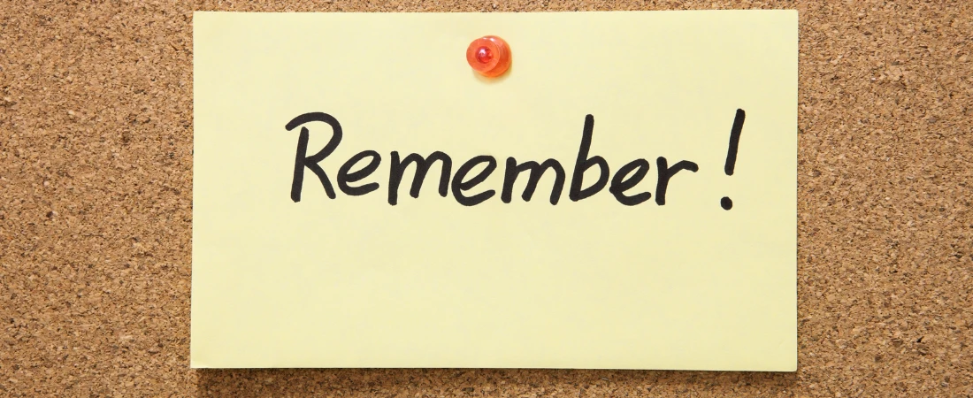 Pinned Realities: How Digital Memories Trap Us in the Past