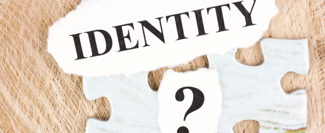 Nichecore Nation: Micro-Identities in the Age of Algorithmic Belonging