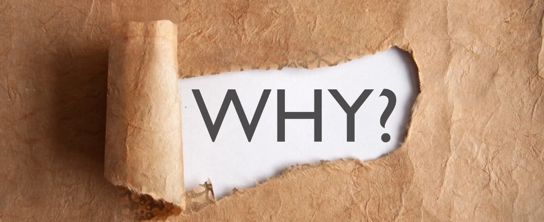 Notifs as Nurture: When Dopamine Drives Connection