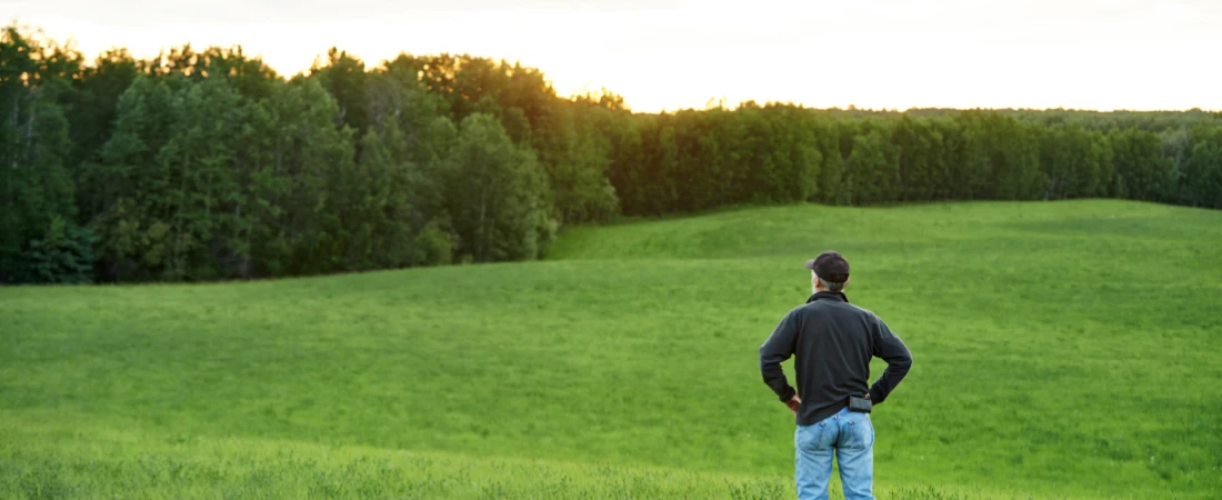 Offline for the Algorithm: The Irony of Public Digital Detox