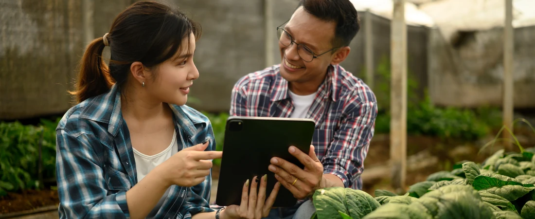 Mood Farming: The Industrialization of Feeling Online