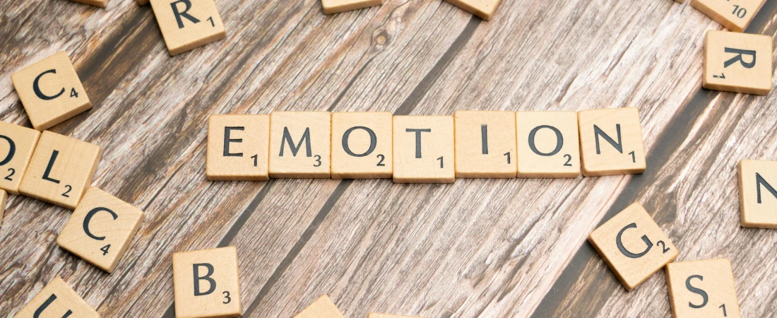 The Politeness Protocol: Managing Emotion Through Platform Etiquette