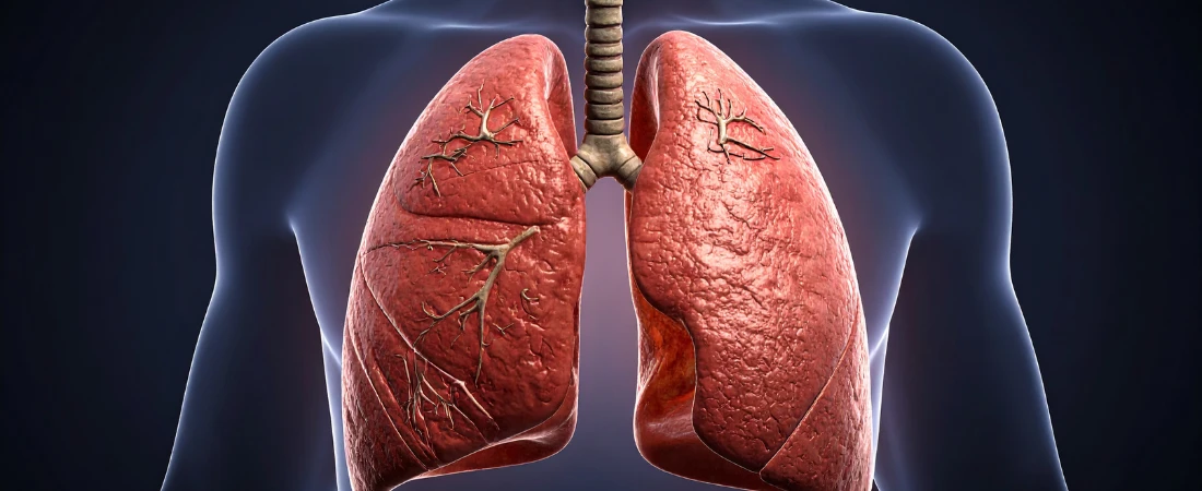 Parasitic Presence: Living with the Machine in the Loop