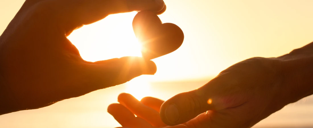 Algorithmic Auteurs: When Code Defines a Director’s Vision