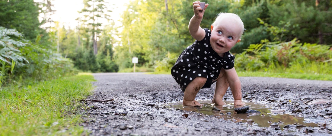 Dream Media: The Next Step in Immersive Storytelling