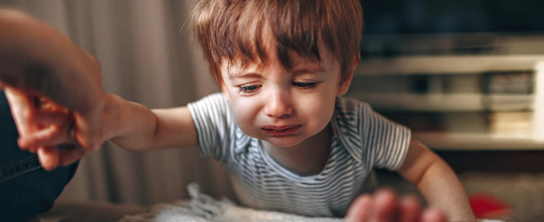 The Psychology of Character Attachment: Why We Care So Much About Fictional People