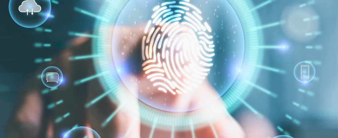 The Aesthetics of the Algorithm: Visual Culture in the Age of Infinite Scroll