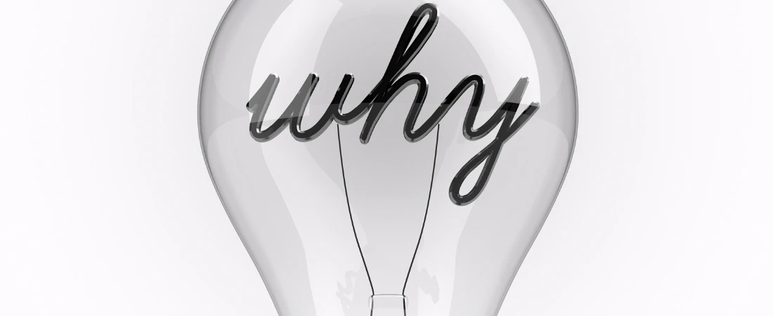 Ludic Life: When Everything Becomes a Game