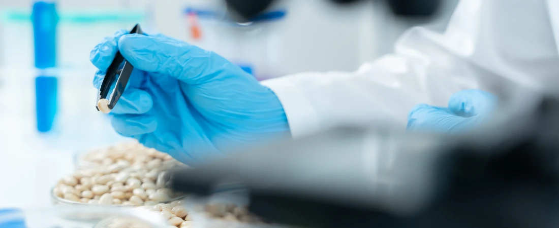 Predictive Fictions: Storytelling with Algorithms