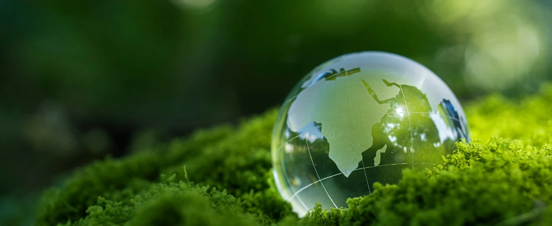 Sustainability in Hollywood: How Eco-Friendly Filmmaking Is Evolving