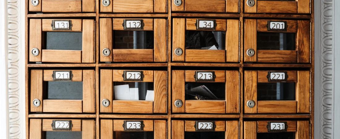 The Return of Analog: Why Vinyl Records and Film Cameras Are Trending Again