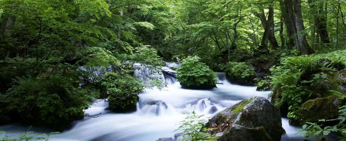 Behind the Lens: How Streaming Changed the Way Directors Tell Stories