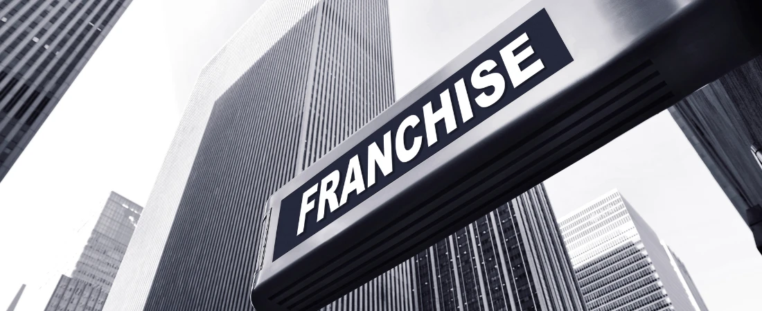 Instant Fandom: How Memes Launch Entire Universes Overnight