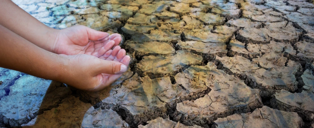 Cinema Without Borders: How Streaming Is Creating a Global Taste Culture