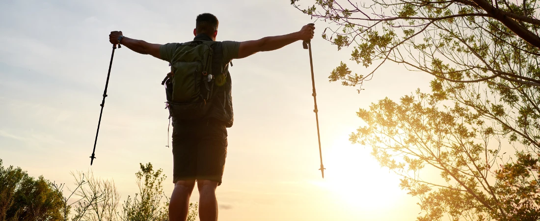 Cognitive Shadows: Fictional Characters Trained on the “Negative Space” of Human Thought