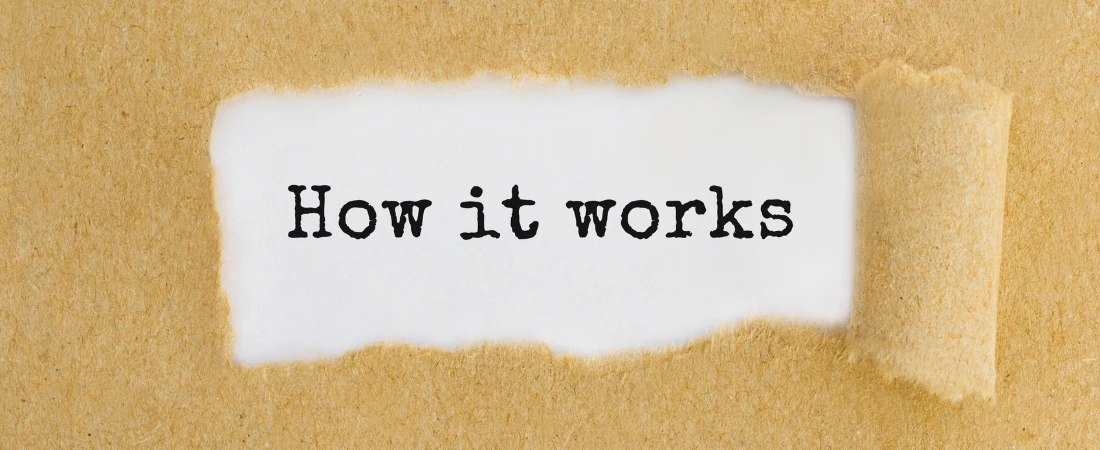 Bio-Synced Storyscapes: Narratives That Grow or Decay Based on Heart Rate, Breath, and Stress Markers