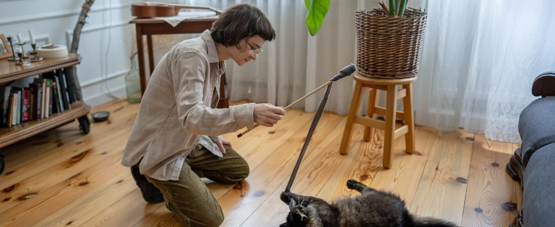 The Science of Audience Attention in Digital Media