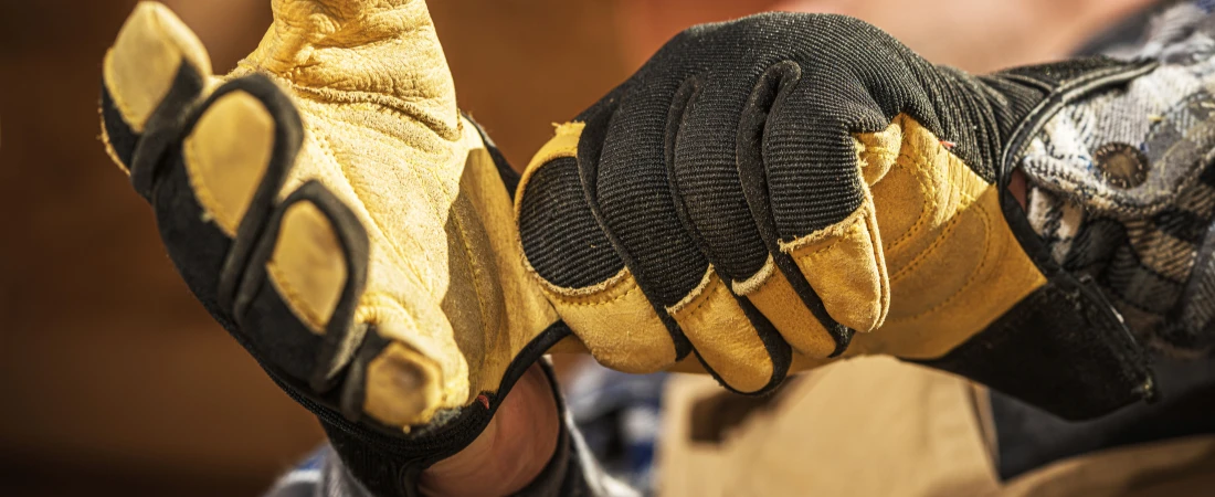 The Hidden World of Voice Acting Careers