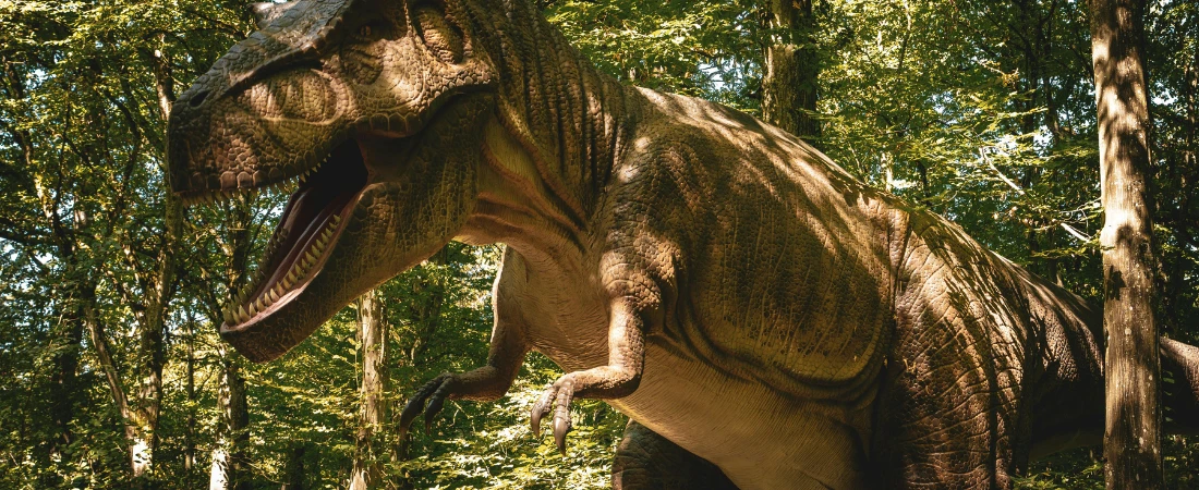 The Technology Behind High-Resolution Animation