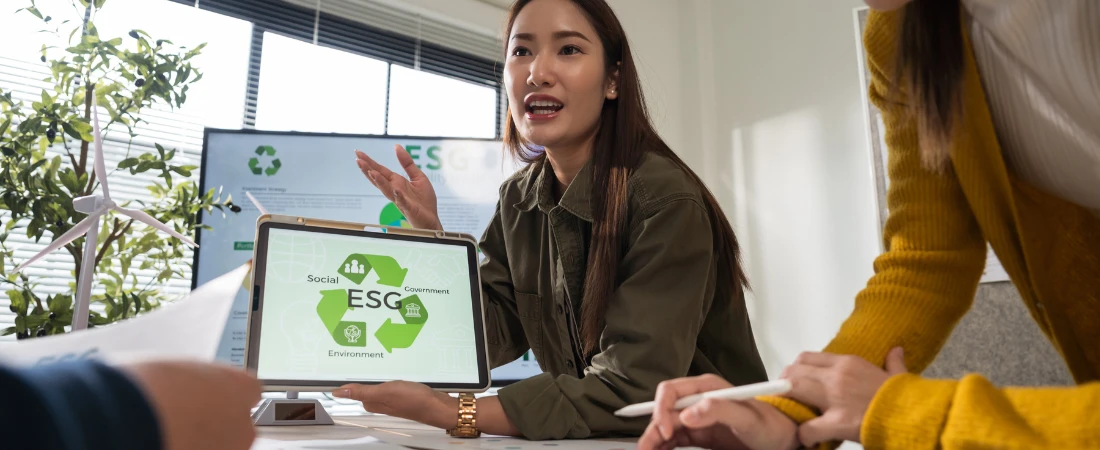 The Environmental Impact of Digital Entertainment Production