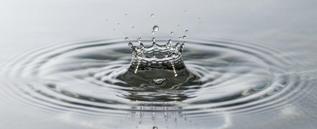 The Psychology Behind Viral Entertainment Moments