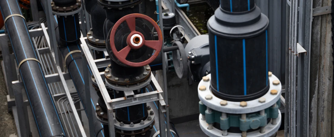 How Digital Collectibles (NFT 2.0) Are Reshaping Fan Engagement